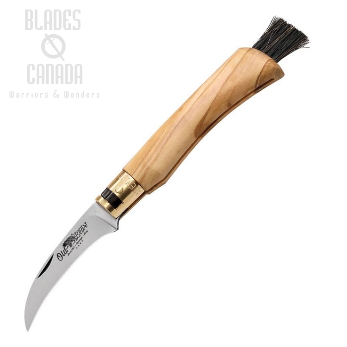 (image for) Old Bear Mushroom Folding Knife, Stainless, Olive Wood, ANT938719LU